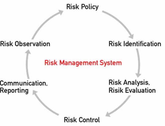 Graphic: Risk Management System