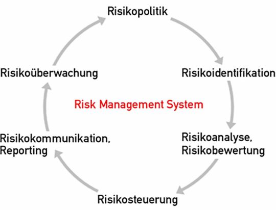 Grafik: Risk Management System